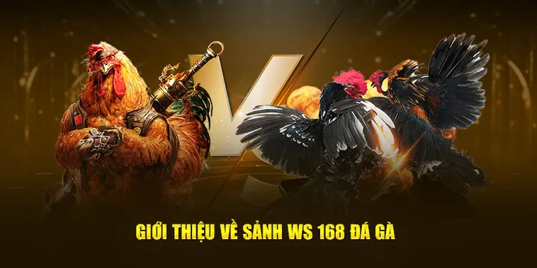 Cách Chơi Đá Gà WS168 Tại DafaBet Hấp Dẫn 2 Cách Chơi Đá Gà WS168 Tại DafaBet Hấp Dẫn