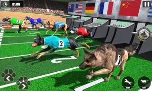 Hướng Dẫn Cách Chơi Game Nhanh Đua Chó Tại DafaBet Cực Hấp Dẫn