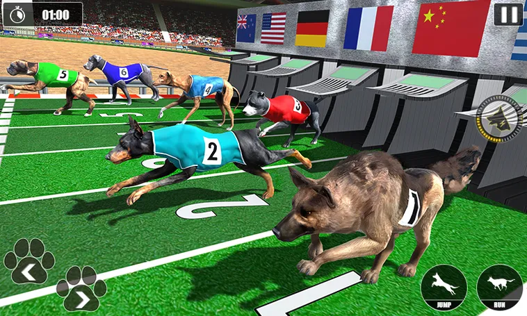 Hướng Dẫn Cách Chơi Game Nhanh Đua Chó Tại DafaBet Cực Hấp Dẫn