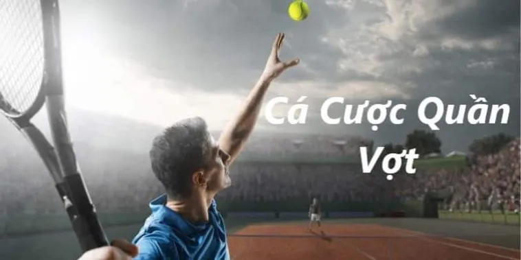 Tìm Hiểu Cá Cược Quần Vợt Dafabet: Trải Nghiệm Kịch Tính Đầy Hấp Dẫn