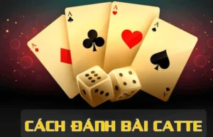 Cách Chơi Sắc Tê Nhà Cái DafaBet Thú Vị Cho Người Mới